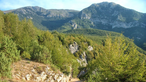 Escursione e visita dell’Orto botanico dei Monti Ernici ed Eco museo “L’Orto del Centauro”