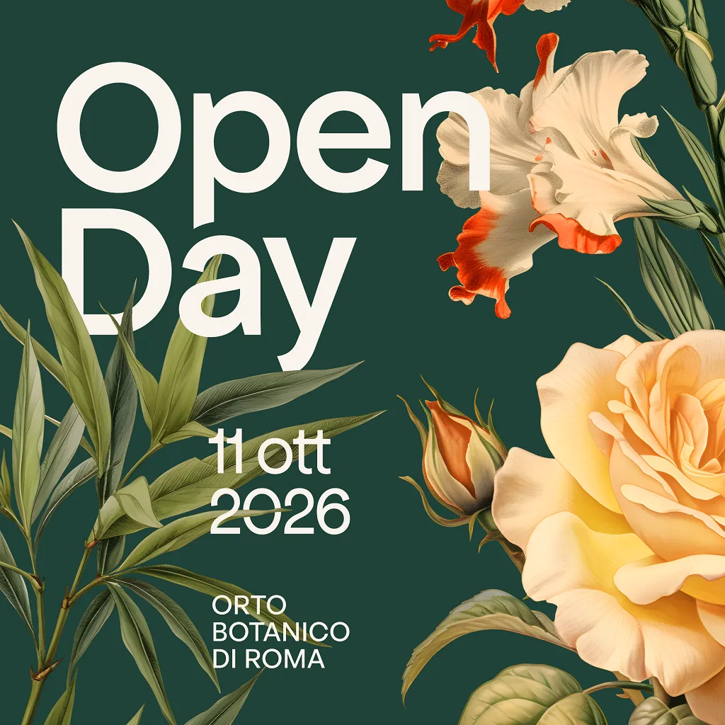 Open Day 2026