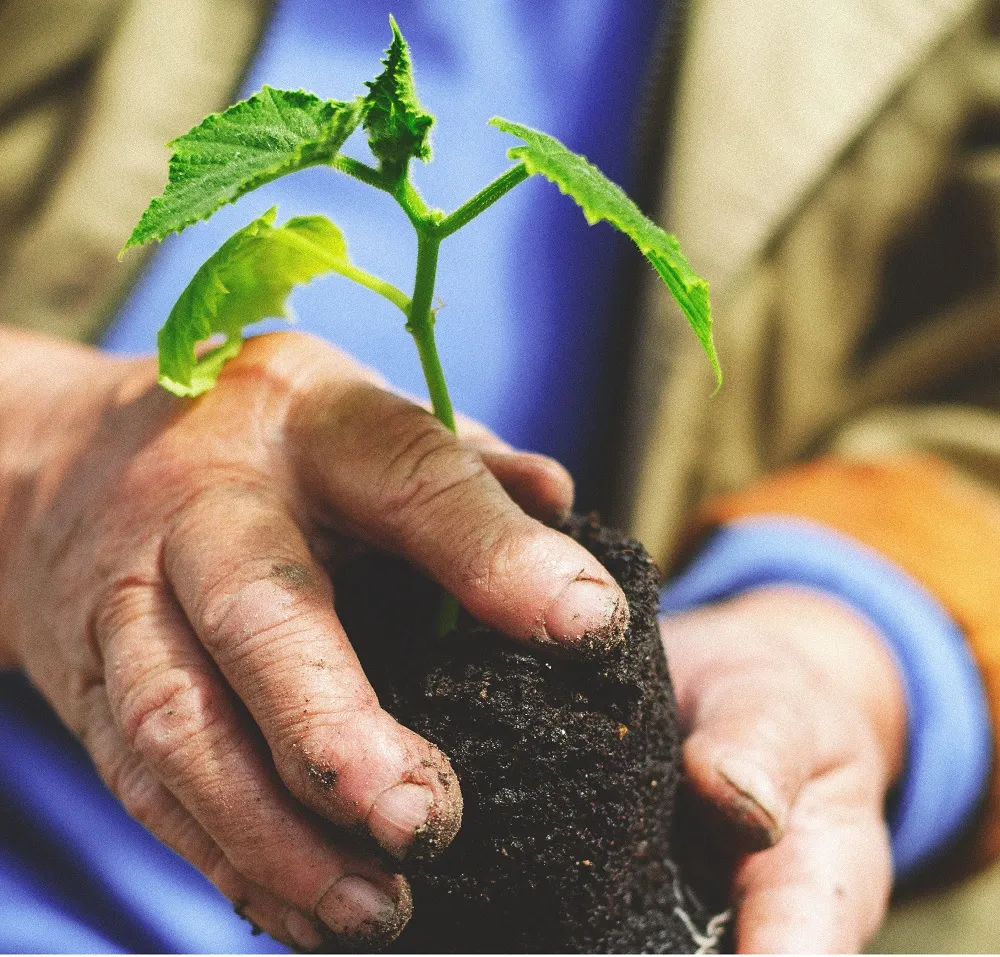 Principi di Agricoltura
